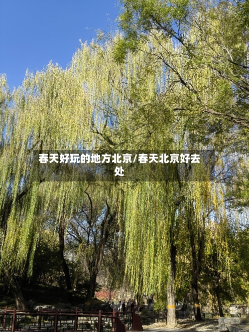 春天好玩的地方北京/春天北京好去处
