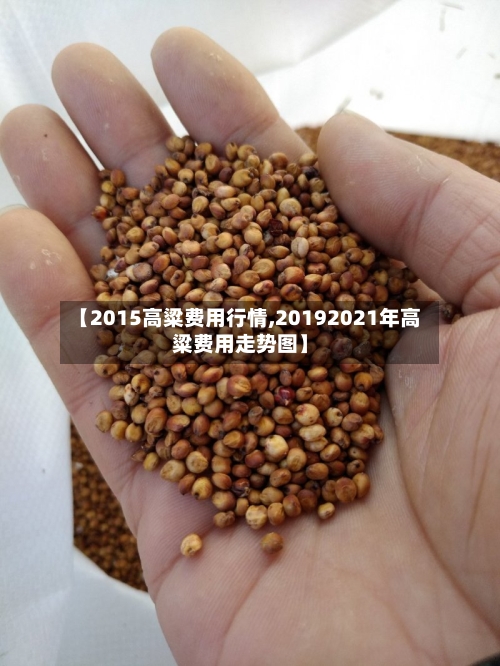 【2015高粱费用行情,20192021年高粱费用走势图】-第2张图片