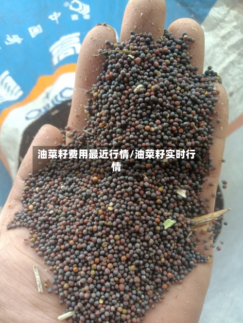 油菜籽费用最近行情/油菜籽实时行情-第2张图片