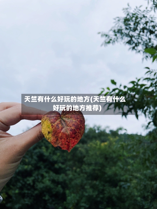 天竺有什么好玩的地方(天竺有什么好玩的地方推荐)