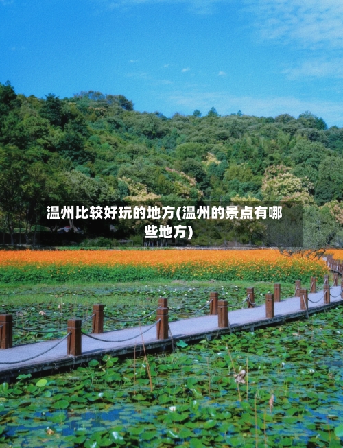 温州比较好玩的地方(温州的景点有哪些地方)-第2张图片