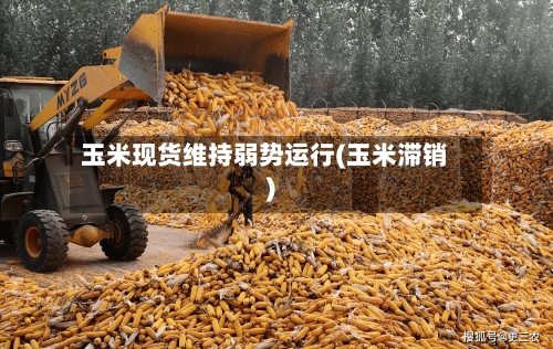 玉米现货维持弱势运行(玉米滞销)-第2张图片