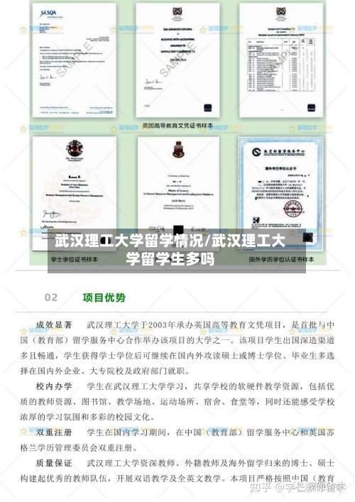 武汉理工大学留学情况/武汉理工大学留学生多吗