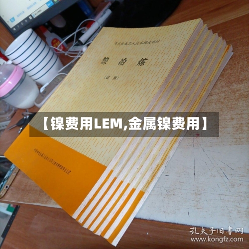 【镍费用LEM,金属镍费用】-第2张图片