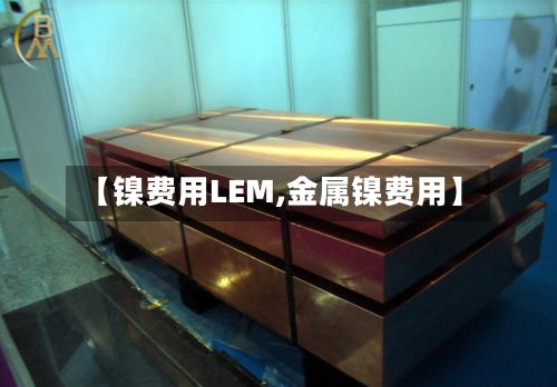 【镍费用LEM,金属镍费用】-第3张图片