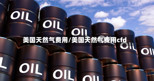 美国天然气费用/美国天然气费用cfd-第2张图片