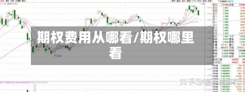 期权费用从哪看/期权哪里看-第2张图片