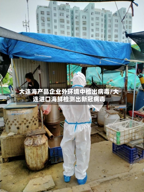 大连海产品企业外环境中检出病毒/大连进口海鲜检测出新冠病毒-第2张图片