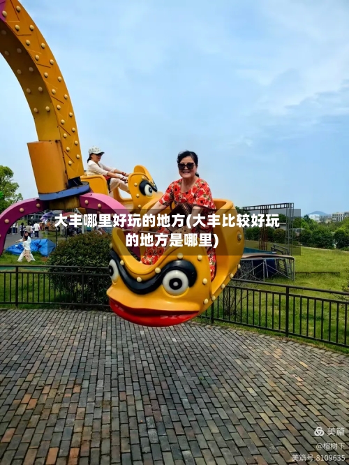 大丰哪里好玩的地方(大丰比较好玩的地方是哪里)