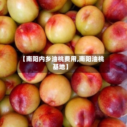 【南阳内乡油桃费用,南阳油桃基地】