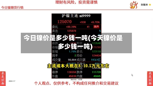 今日镍价是多少钱一吨(今天镍价是多少钱一吨)-第3张图片