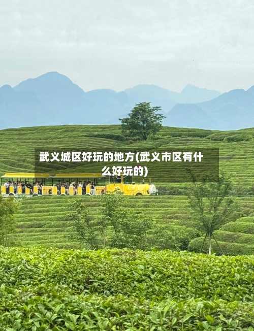 武义城区好玩的地方(武义市区有什么好玩的)-第2张图片