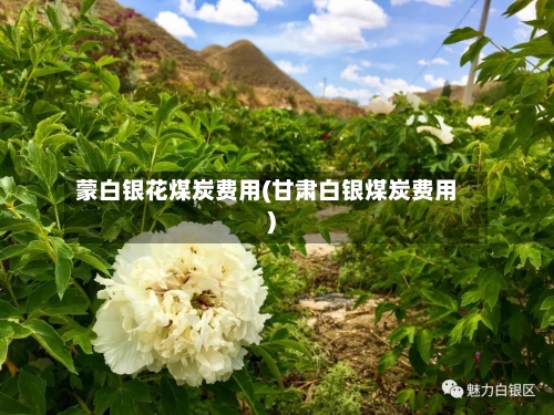 蒙白银花煤炭费用(甘肃白银煤炭费用)