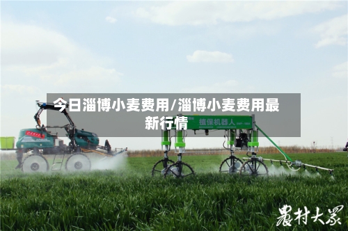 今日淄博小麦费用/淄博小麦费用最新行情-第3张图片