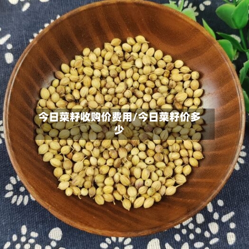 今日菜籽收购价费用/今日菜籽价多少-第2张图片
