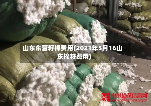山东东营籽棉费用(2021年5月16山东棉籽费用)-第3张图片