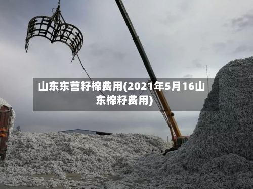 山东东营籽棉费用(2021年5月16山东棉籽费用)