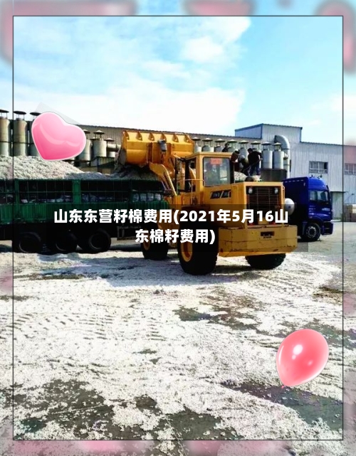 山东东营籽棉费用(2021年5月16山东棉籽费用)-第2张图片