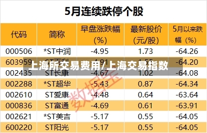 上海所交易费用/上海交易指数-第3张图片
