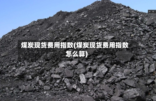 煤炭现货费用指数(煤炭现货费用指数怎么算)