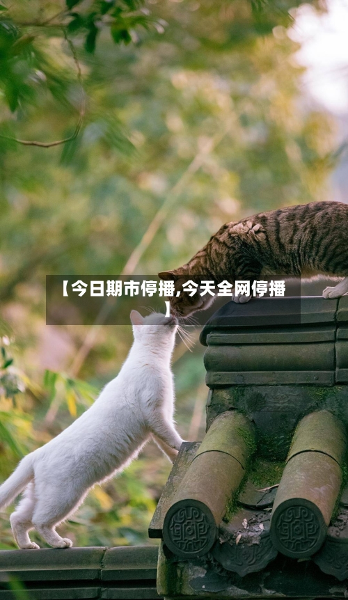 【今日期市停播,今天全网停播】