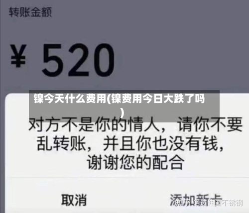 镍今天什么费用(镍费用今日大跌了吗)-第2张图片