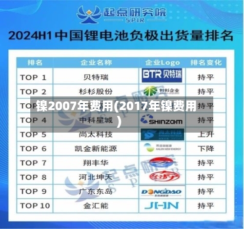 镍2007年费用(2017年镍费用)-第2张图片