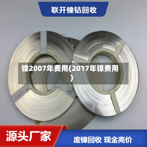 镍2007年费用(2017年镍费用)-第3张图片