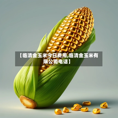 【临清金玉米今日费用,临清金玉米有限公司电话】