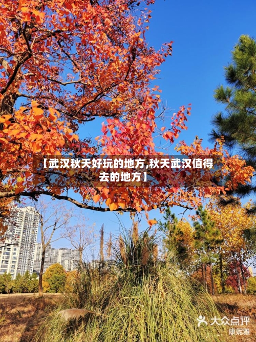 【武汉秋天好玩的地方,秋天武汉值得去的地方】