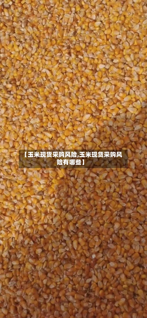 【玉米现货采购风险,玉米现货采购风险有哪些】-第3张图片