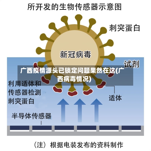 广西疫情源头已锁定问题果然在这(广西病毒情况)