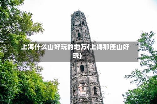 上海什么山好玩的地方(上海那座山好玩)