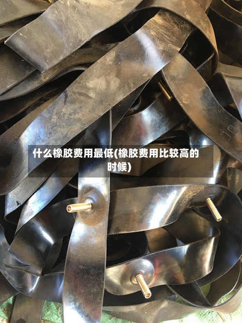 什么橡胶费用最低(橡胶费用比较高的时候)-第2张图片