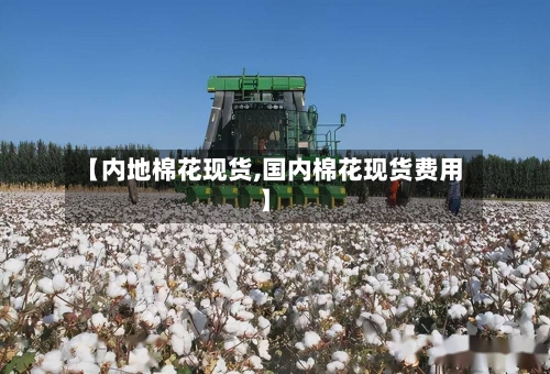【内地棉花现货,国内棉花现货费用】-第2张图片