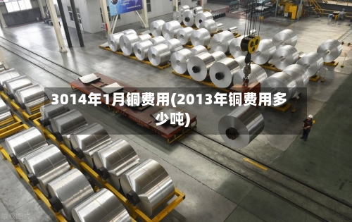 3014年1月铜费用(2013年铜费用多少吨)