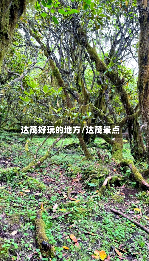 达茂好玩的地方/达茂景点-第2张图片