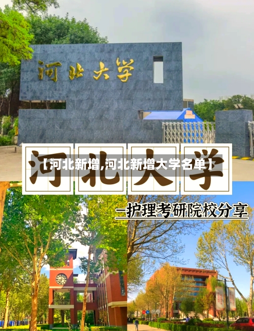 【河北新增,河北新增大学名单】-第2张图片