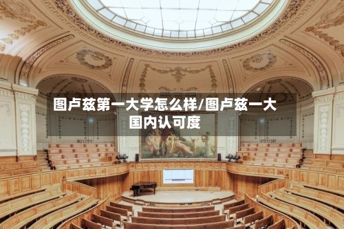 图卢兹第一大学怎么样/图卢兹一大国内认可度-第2张图片