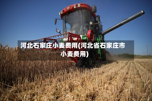 河北石家庄小麦费用(河北省石家庄市小麦费用)