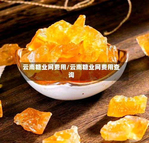 云南糖业网费用/云南糖业网费用查询