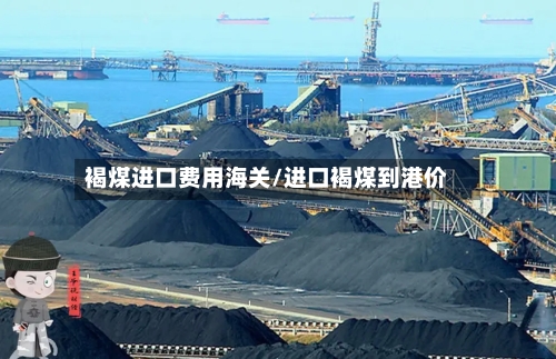褐煤进口费用海关/进口褐煤到港价