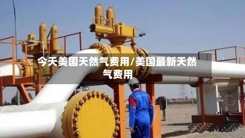今天美国天然气费用/美国最新天然气费用-第2张图片
