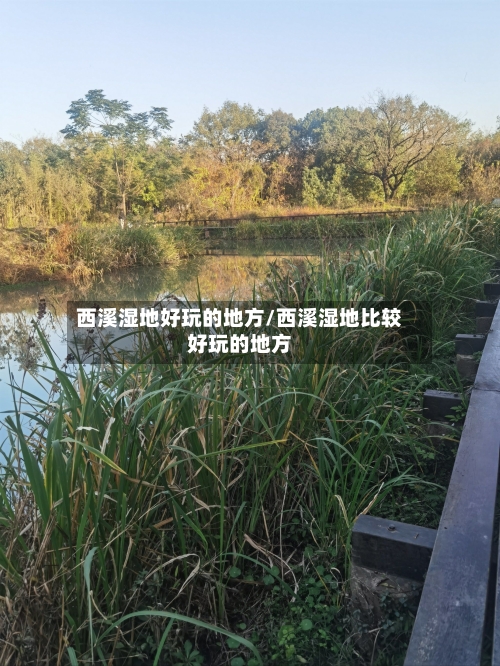 西溪湿地好玩的地方/西溪湿地比较好玩的地方-第2张图片