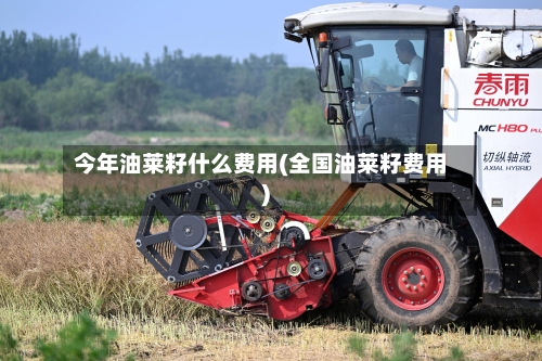今年油莱籽什么费用(全国油莱籽费用)