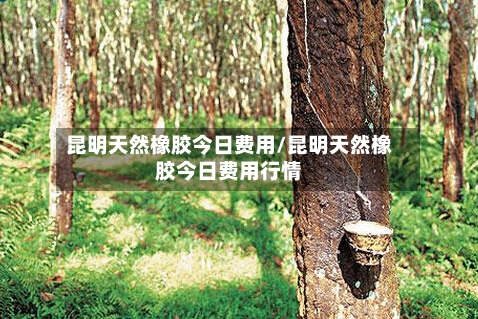 昆明天然橡胶今日费用/昆明天然橡胶今日费用行情