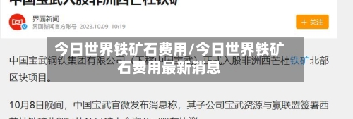 今日世界铁矿石费用/今日世界铁矿石费用最新消息-第2张图片