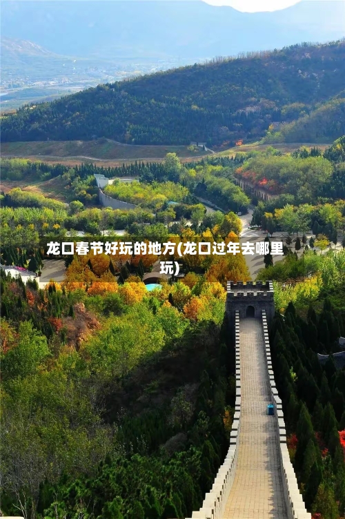 龙口春节好玩的地方(龙口过年去哪里玩)
