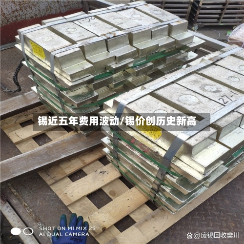 锡近五年费用波动/锡价创历史新高