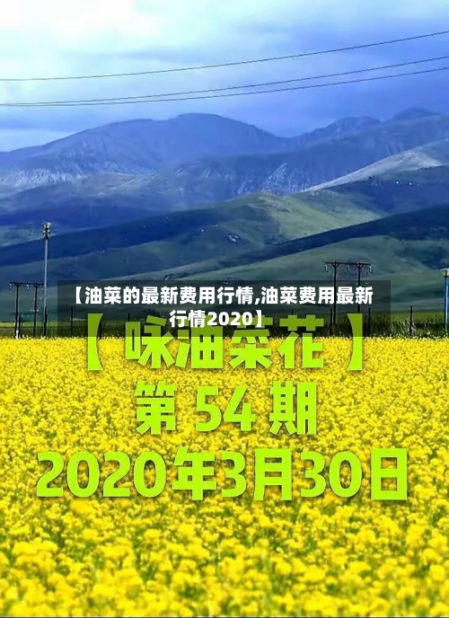 【油菜的最新费用行情,油菜费用最新行情2020】-第3张图片